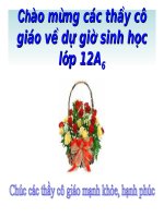 sinh học 12. bài 10 tương tác gen