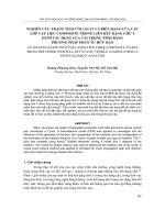 NGHIÊN CỨU TRẠNG THÁI ỨNG SUẤT VÀ BIẾN DẠNG CỦA CÁC LỚP VẬT LIỆU COMPOSITE TRONG LIÊN KẾT DẠNG CHỮ T DƯỚI TÁC DỤNG CỦA TẢI TRỌNG TĨNH BẰNG PHƯƠNG PHÁP PHẦN TỬ HỮU HẠN