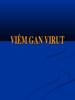 Slide viêm gan do virut