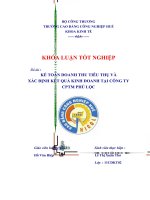 thực trạng công tác kế toán tiêu thụ và xác định kết quả kinh doanh của công ty cổ phần thương mại phú lộc