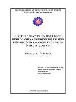 giải pháp phát triển hoạt động kinh doanh và mở rộng thị trường tiêu thụ ô tô tại công ty cổ phần dịch vụ - thương mại ô tô gia định v.n