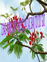 thuyết trình lịch sử - trung quốc cuối thế kỉ xix - đầu thế kỉ xx