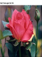 thuyết trình lịch sử - khởi nghĩa yên thế và phong trào chống pháp của đồng bào miền núi cuối thế kỉ xix (3)