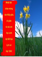 thuyết trình lịch sử - phong trào dân tộc dân chủ ở việt nam từ năm 1925 đến năm 1930 (2)