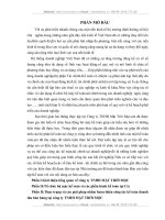 thực trạng và các giải pháp nhằm hoàn thiện công tác kế toán doanh thu bán hàng tại công ty tnhh mặt trời mọc