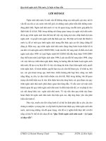 luận văn luật quy trình ngân sách nhà nước - lý luận và thực tiễn