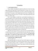 kế toán tiêu thụ thành phẩm và xác định kết quả kinh doanh tại công ty cp khoáng sản nghệ an