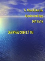 Slide giải phẫu sinh lý tai