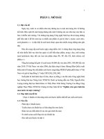 đề tài nghiên cứu quá trình lên men lactic từ mật rỉ đường - luận văn, đồ án, đề tài tốt nghiệp