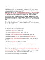 Bài giảng ung thư đại trực tràng