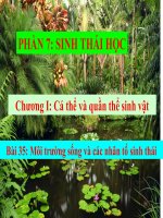 bài giảng sinh học 12 bài 35. môi trường sống và các nhân tố sinh thái.