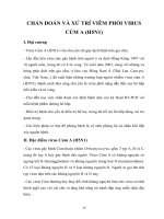 Chẩn đoán và xử trí viêm phổi virut cúm a h5n1