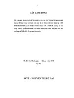 một số giải pháp nhằm hoàn thiện hệ thống kiểm soát nội bộ vốn bằng tiền tại công ty cổ phần vua ong 1