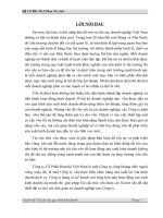 tái cấu trúc vốn tại công ty cổ phần hatashi việt nam