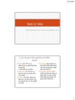 Bài giảng sinh lí mắt