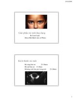 Giải phẫu mí mắt ứng dụng