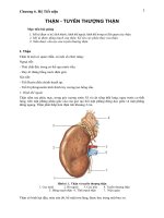 giải phẫu hệ tiet nieu