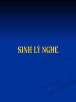 Slide bài giảng sinh lý nghe