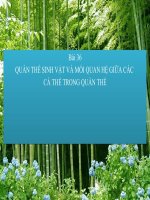 bài giảng sinh học 12 bài 36. quần thể sinh vật và mối quan hệ giữa các cá thể trong quần thể..