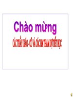 thuyết trình lịch sử - phong trào kháng chiến chống pháp trong những năm cuối thế kỉ xix (12)