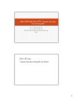 Bài giảng đục thủy tinh thể nguyên nhân gây mù lòa hàng đầu