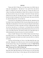 thực tiễn hoạt động nhập khẩu của công ty cổ phần thương mại vật tư thiết bị thăng long