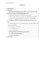 tác động của quy chế  kinh tế phi thị trường (nme) đối với thương mại quốc tế việt nam