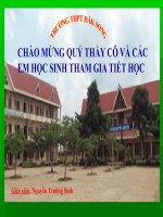 thuyết trình lịch sử - phong trào dân tộc dân chủ ở việt nam từ năm 1925 đến năm 1930 (13)