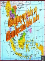 thuyết trình lịch sử -  các nước đông nam á cuối thế kỉ xix - đầu thê kỉ xx (5)