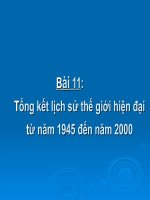 thuyết trình lịch sử - tổng kết lịch sử thế giới hiện đại từ năm 1945 đến năm 2000 (2)