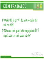 bài giảng sinh học 12 bài 37. các đặc trưng cơ bản của quần thể sinh vật