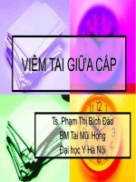 Slide viêm tai giữa cấp