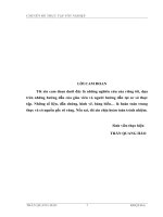 các giải pháp mở rộng thị trường xuất khẩu của công ty cổ phần xuất nhập khẩu khoáng sản