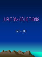Luput ban đỏ hệ thống (cô lan)