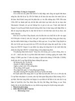 phân tích đầu tư của co.opmart vào thị trường lào