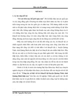 công tác xã hội với trẻ khuyết tật huyện quảng ninh, tỉnh quảng bình hiện nay