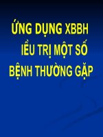 ỨNG DỤNG XOA bóp bấm HUYỆT điều TRỊ một số BỆNH THƯỜNG gặp