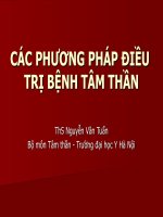 CÁC PHƯƠNG PHÁP điều TRỊ BỆNH tâm THẦN