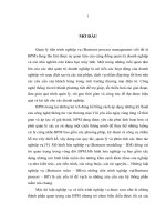 các vấn đề liên quan đến bpm, ngôn ngữ mô hình hóa luật nghiệp vụ, ngôn ngữ mô hình tiến trình nghiệp vụ