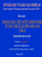 thuyết trình lịch sử -  phong trào yêu nước chống pháp từ đầu thế kỉ xx đến năm 1918