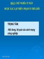 thuyết trình lịch sử - chủ nghĩa tư bản được xác lập trên phạm vi thế giới (4)