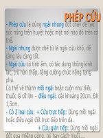 Phép cứu trong châm cứu