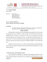 xây dựng chiến lược kinh doanh bất động sản của công ty lideco