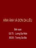 Hình ảnh và đơn cho da liễu