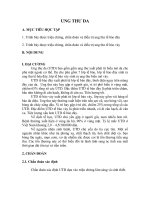 Bài giảng ung thư da