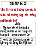 bài giảng sinh học 12 bài 37. các đặc trưng cơ bản của quần thể sinh vật