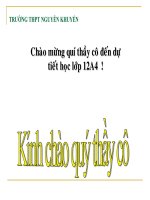 thuyết trình lịch sử - phong trào dân tộc dân chủ ở việt nam từ năm 1925 đến năm 1930 (8)