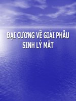 Bài giảng về giải phẫu mắt