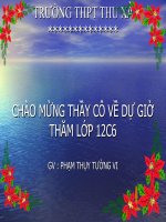 thuyết trình lịch sử - phong trào dân tộc dân chủ ở việt nam từ năm 1925 đến năm 1930 (3)