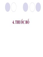 Slide cây thuốc nam thuốc bổ